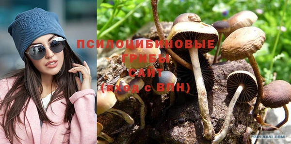 прущие грибы Сатка