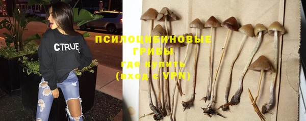 эйфоретик Волоколамск