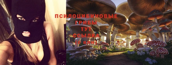 эйфоретик Волоколамск