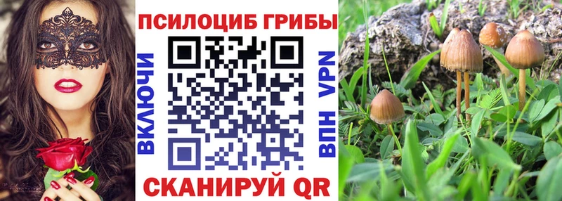 Галлюциногенные грибы ЛСД  Мариинск 